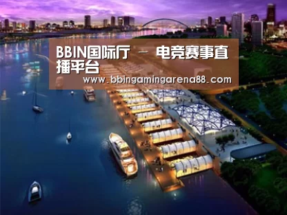 案例展示八