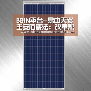 BBIN平台-易中天谈王安石变法:改革帮了腐败的忙(图)(图3) BBIN平台